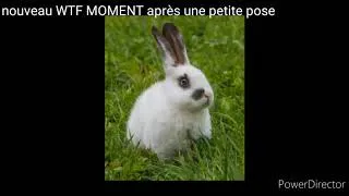 Miniature : Fin des WTF MOMENT ?! Ft: Yoyo2rhb