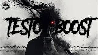 Miniature : TESTO BOOST 💉 AURA PHONK ULTRA AGRESSIVE 🎧📈📈📈 Music Playlist 2026