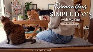 Miniature : Romancing Simple Days with My Cats in France | Slow Living Vlog