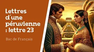 Miniature : Lettres d'une péruvienne, lettre 23 : analyse linéaire