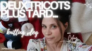 Miniature : Deux tricots plus tard...