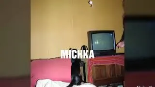 Miniature : Adieu Petite Michka
