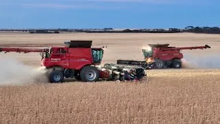 Miniature : 🇦🇺🌾WHEAT HARVEST IN AUSTRALIA - X2 AXIAL FLOW - MAGNUM