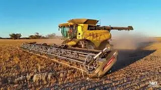 Miniature : 🇦🇺🤠XXL HARVEST - MACDON & NEW HOLLAND - 950ha LENTILLES