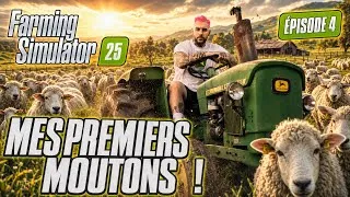 Miniature : Les Moutons débarquent à la ferme de Godwellink !
