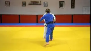 Miniature : 40.🥋  払腰  Harai Goshi
