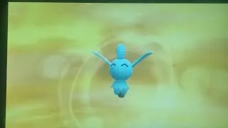 Miniature : Pokémon DE/PS faire éclore les œufs rapidement