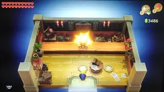 Miniature : The Legend of Zelda Link's Awakening voler le magasin