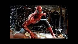Miniature : SPIDER MAN  LE FILM QUI A CHOQUE LE MONDE