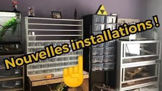 Miniature : Nouvelle pièce d'élevage, nouvelles installations, on vous montre tout !