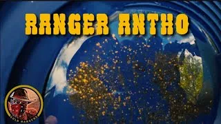 Miniature : RANGER ANTHO @Goldrangers 