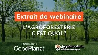 Miniature : L'agroforesterie c'est quoi ? Sandrine de Labarre de l'⁨@agroforesterie  répond ! Clip webinaire