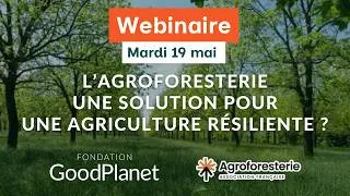 Miniature : Replay du webinaire : L’agroforesterie, une solution pour une agriculture résiliente ?