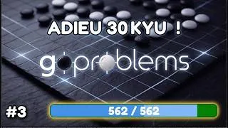 Miniature : J'ai fini TOUS les problèmes 30 Kyu ! (562 puzzles)