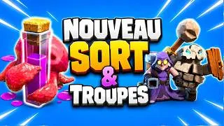 Miniature : Sorcière des Ruines & Sort Furieux : Les 2 Nouvelles Unités Expliquées !