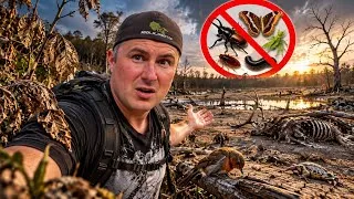 Miniature : 🫵TA PLANÈTE SANS INSECTES!? 🦟 