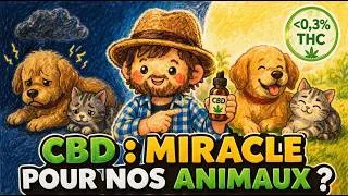 Miniature : CBD pour animaux : peut-on vraiment en donner à son chien ou son chat ?