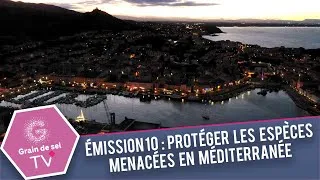 Miniature : Émission 10: Protéger les espèces menacées en Méditerranée