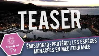 Miniature : TEASER Émission 10: Protéger les espèces menacées en Méditerranée