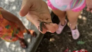 Miniature : Le souffle présent – Les enfants nous rappellent l'abondance