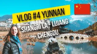 Miniature : ATTAQUE DE YAK ET PANDA EN CAGE - Vlog#4 Yunnan (Chine)