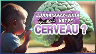 Miniature : Graines de Penseur, qu'est-ce que c'est ?