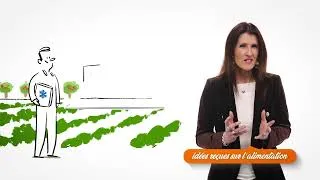 Miniature : Faut-il éviter les fruits pour réduire ses apports en sucre ?
