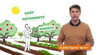 Miniature : Les fruits et légumes "moches" sont-ils moins bons ?