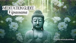 Miniature : Méditation guidée 🎙️🎧 Vipassana - Être équanime face à l'impermanence de la Vie ☯️