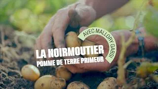 Miniature : Grand Frais | La pomme de terre de Noirmoutier avec Mallory Gabsi