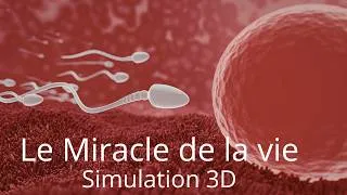 Miniature : Le miracle de la vie (simulation 3D d'une grossesse)