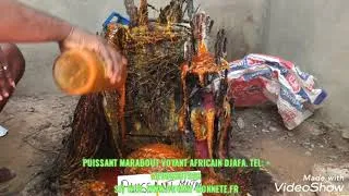 Miniature : Retour affectifs puissant tel: +229 96387599