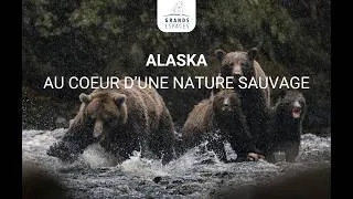 Miniature : Alaska : voyage au coeur des étendues sauvages