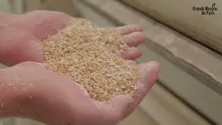 Miniature : Moulin de Paris-Gennevilliers - Les étapes de fabrication de la farine