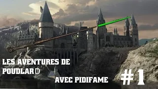 Miniature : JE SUIS A POUDLARD  # 1(avec PIDIFAME)