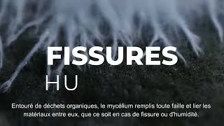Miniature : Home Sapiens 2026 - Et si en 2100 nos déchets deviennent nos abris ?