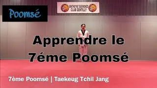 Miniature : 7ème Poomsé Taekwondo | Taekeug Tchil Jang