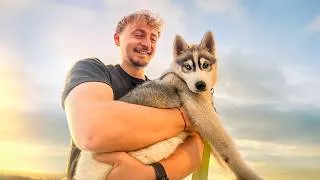 Miniature : Je suis devenu Papa (je vous présente Juna)
