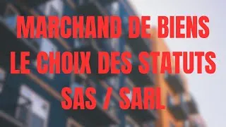 Miniature : Comment choisir son statut en Marchand de bien ? ( fiscalité, juridique, montage )