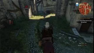 Miniature : The Witcher 3: Wild Hunt bug