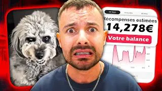 Miniature : Cette Niche HORREUR Sur Tiktok Est TROP Facile, COPIE LA !