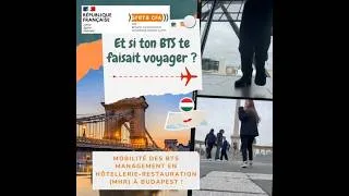 Miniature : Interview BTS MHR MOBILITE