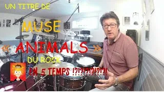 Miniature : TUTO BATTERIE / Un Rythme ROCK en 5 temps avec MUSE "ANIMALS" + pdf