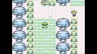 Miniature : Pokémon Version Bleu 6) La Forêt de Jade