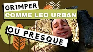 Miniature : GRIMPER AUX ARBRES COMME LEO URBAN
