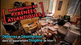 Miniature : 💧 Prestation | Débarras et désinfection Diogène Pyrénées-Atlantiques