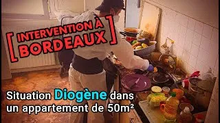 Miniature : [INTERVENTION] Débarras, désinfection | Syndrôme DIogène | Appartement | Maintien domicile Bordeaux