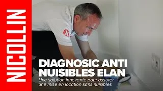 Miniature : Diagnostique Anti Nuisibles ELAN - Groupe Nicollin