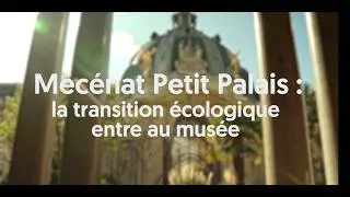 Miniature : Mécénat Petit Palais : la transition écologique entre au musée