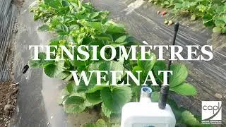Miniature : Témoignage adhérent : Tensiomètre Weenat